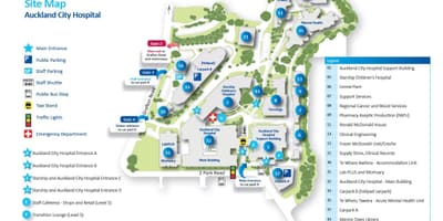 Žemėlapis Auckland ligoninėje